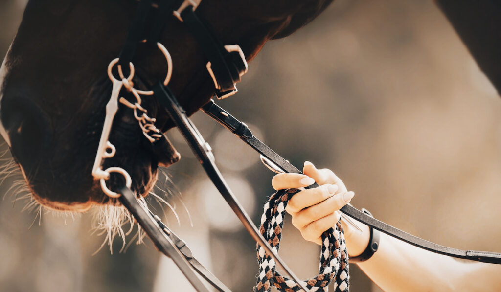 chain snaffle