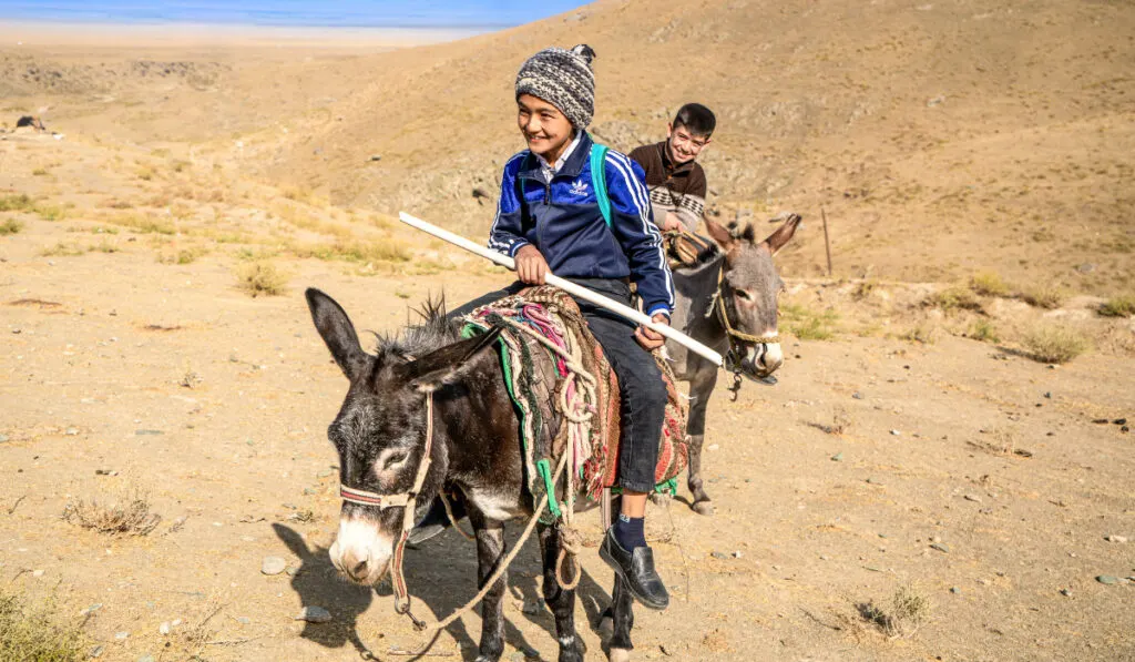 children coming back from school riding on a donkey