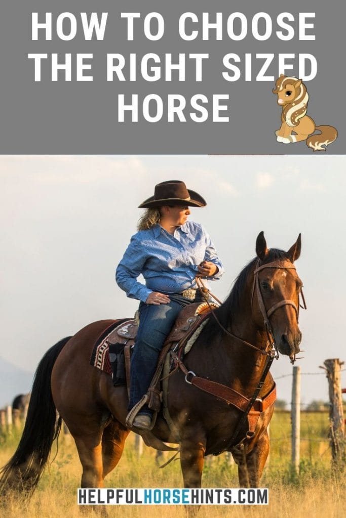 Pinterest pin - horse and rider