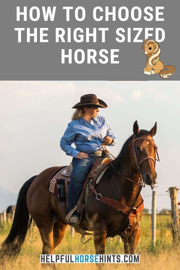 Finding The Right Size Horse for Your Height and Weight