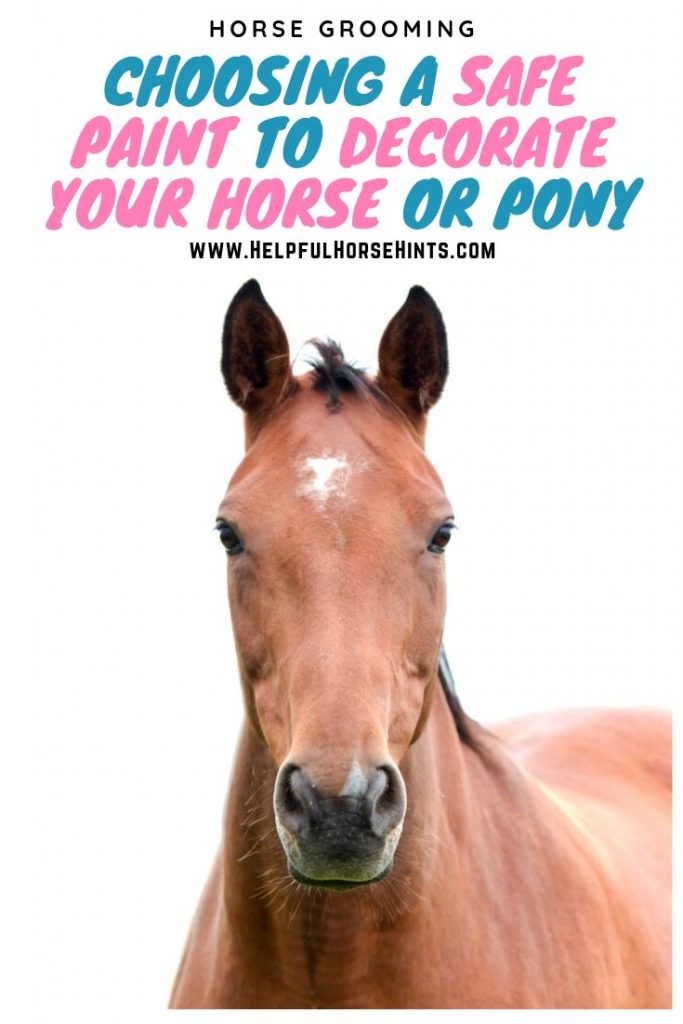 Pinterest pin - Choosing a Safe Paint to Use to Decorate Your Horse or Pony