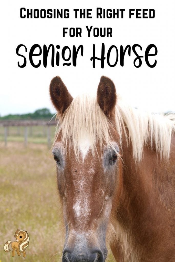 pinterest pin - choosing the right feed for your senior horse