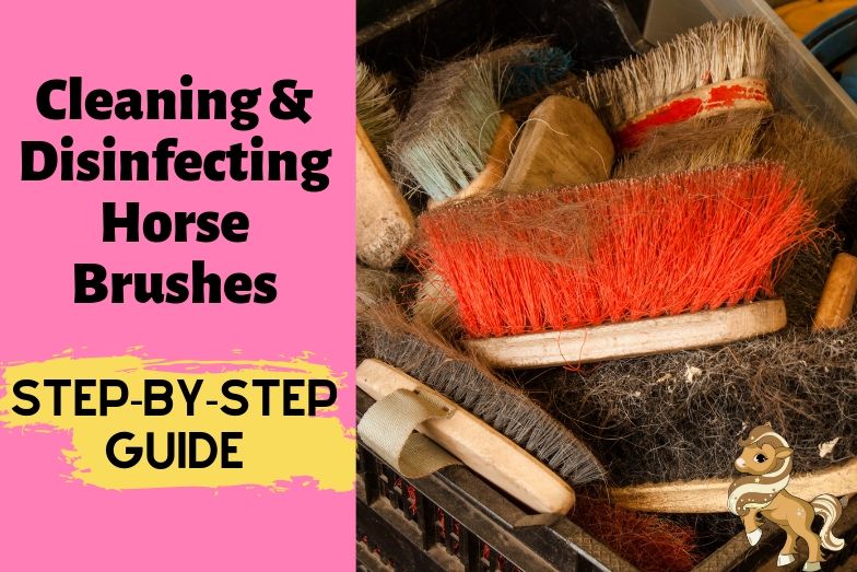 How to Clean Horse Brushes