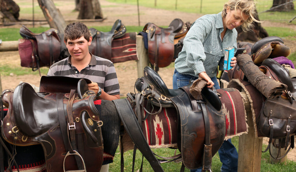 cleaning leather saddles
