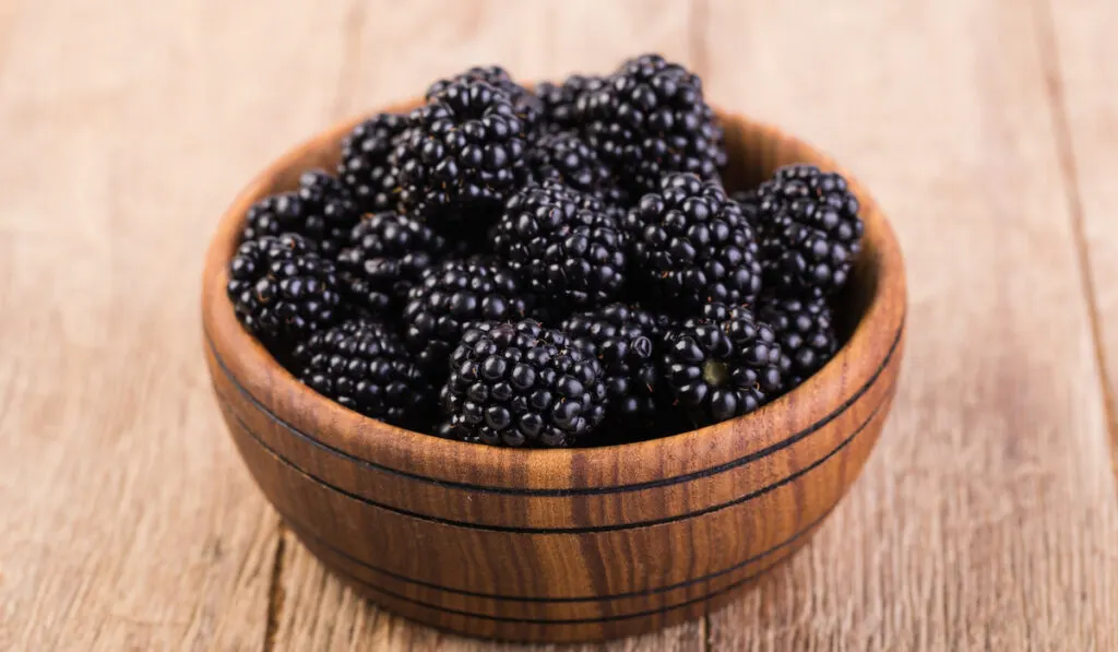 closeup photo of blackberries in a wooden bowl