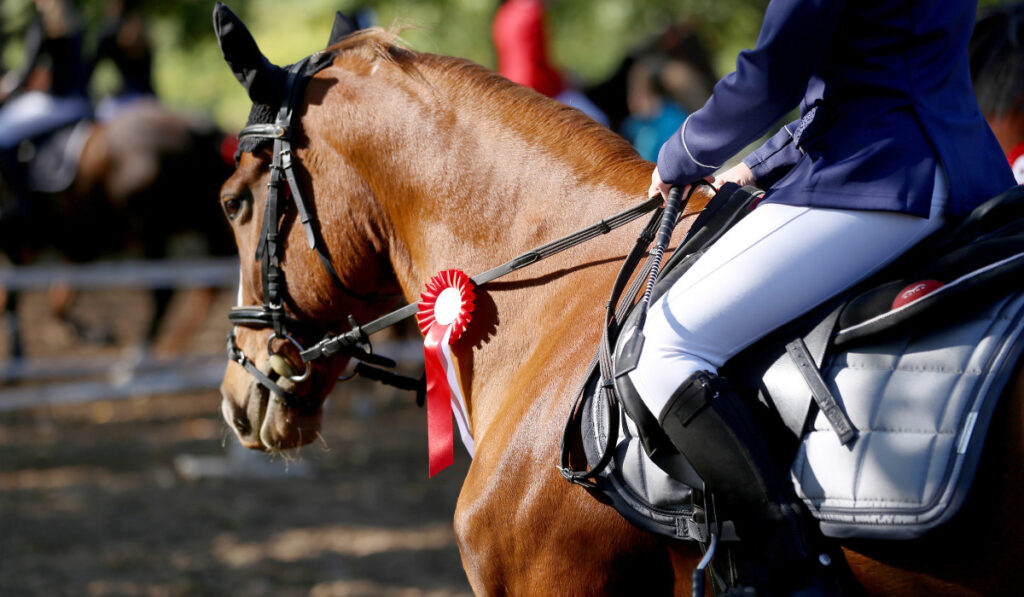  competitor ride on a sport horse