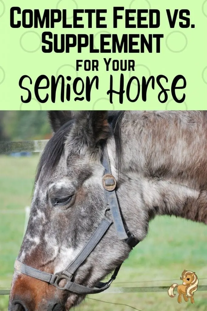 pinterest pin - Complete feed vs supplement for your senior horse