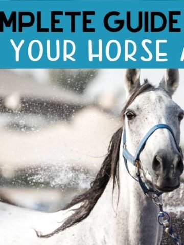 17 Mounted Horse Games You Can Play - Helpful Horse Hints