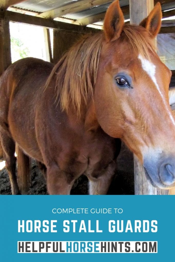 horse standing in stall door with no stall guard