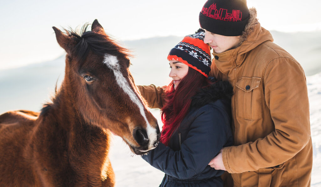 couple petting horse