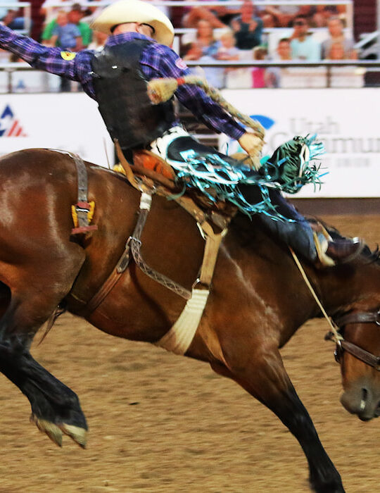 cowboy-hangs-on-for-a-wild-ride-at-the-bucking-bronco-rodeo-event