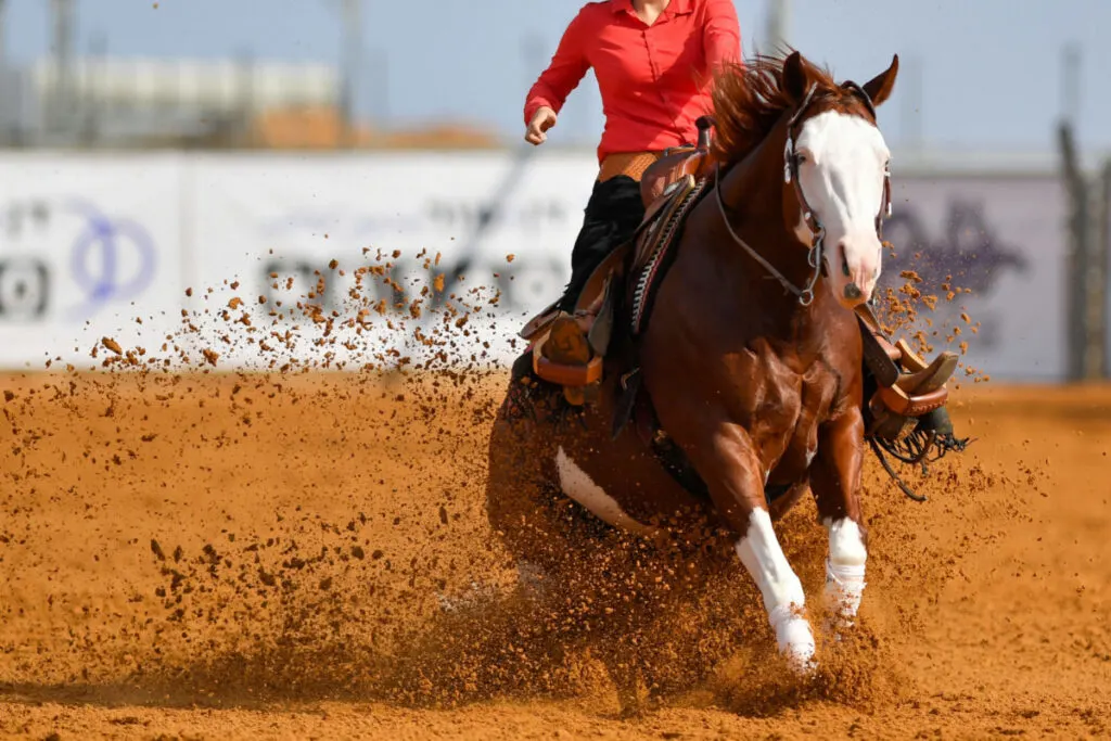 cowboy in red long sleeves on reining event