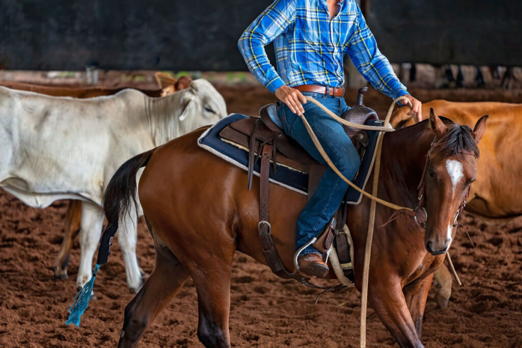 cowboy on a checked blue polo riding a horse in a cattle farm