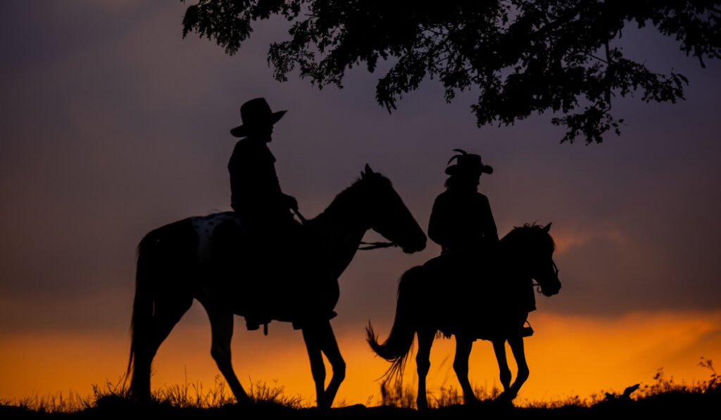 cowboy on horse silhouetted against a large tree