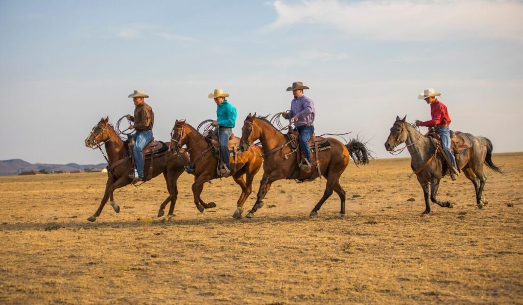 cowboys riding on the ranch