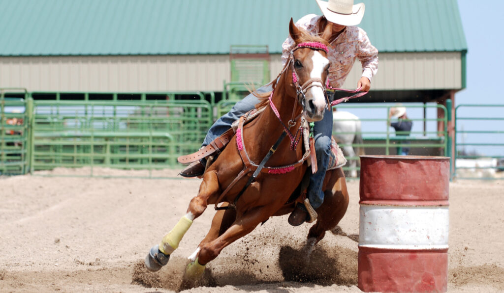 cowgirl racing her horse barrel racing 