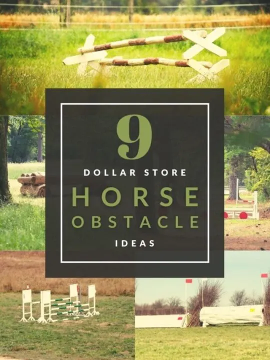cropped-9-Dollar-Store-Horse-Obstacle-Ideas.jpg