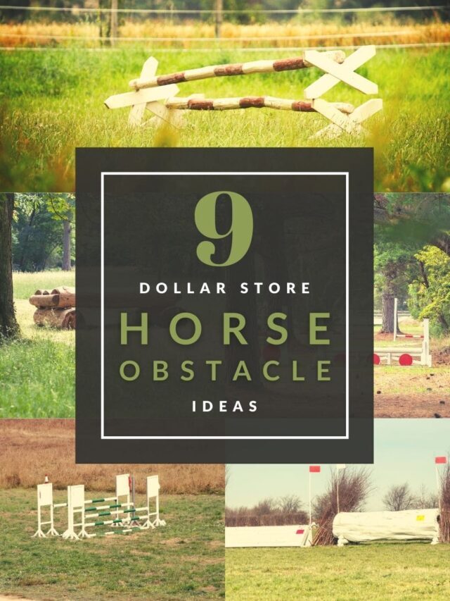 9 Awesome Dollar Store Horse Obstacle Ideas