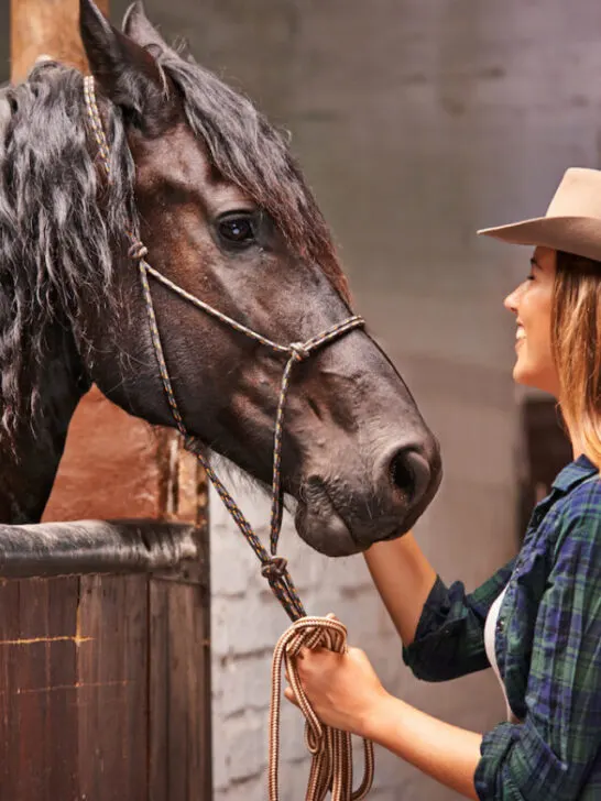 An attractive young cowgirl bonding with her horse in the stable - ee230410