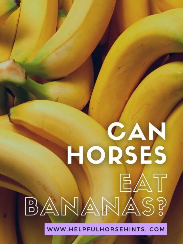 Can Horses Eat Bananas