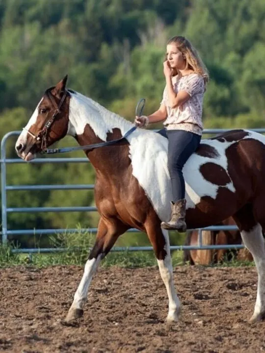 cropped-Exercise-Rider.jpg