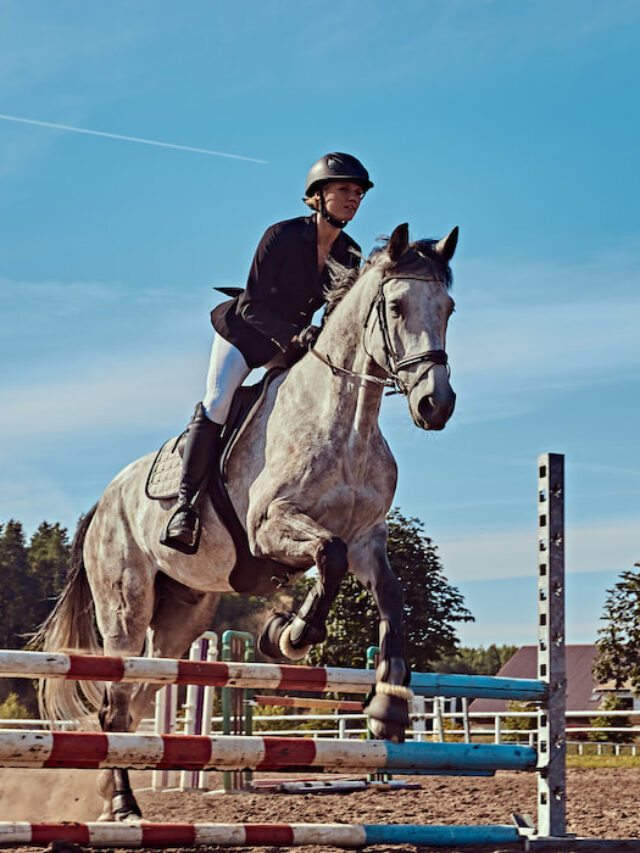 Eventing Levels Explained The Equestrian Triathlon Helpful Horse Hints