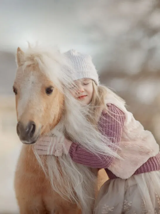 Little girl with palomino miniature horse in winter park - ss240202