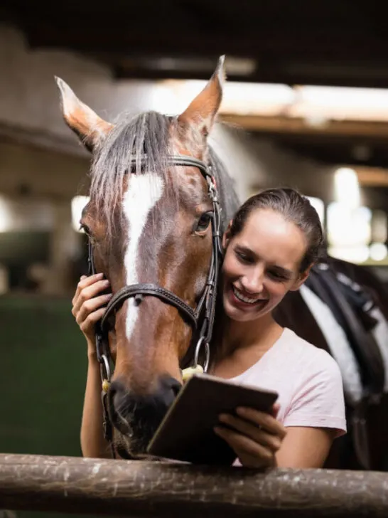 Smiling female jockey using digital tablet while standing by horse in stable - ss230810