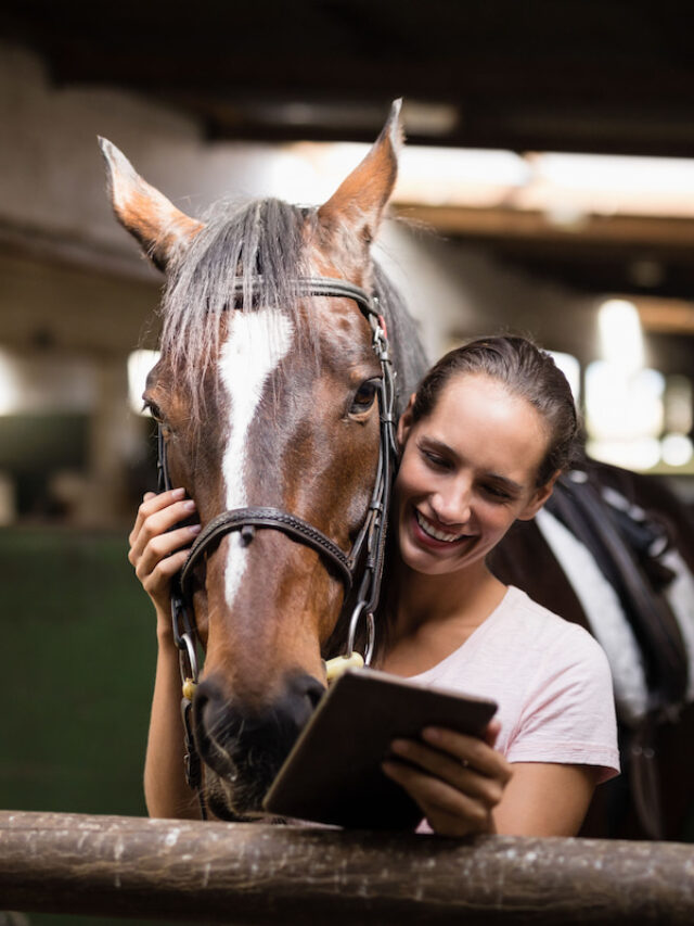 How to Choose a Domain Name for your Horse Business