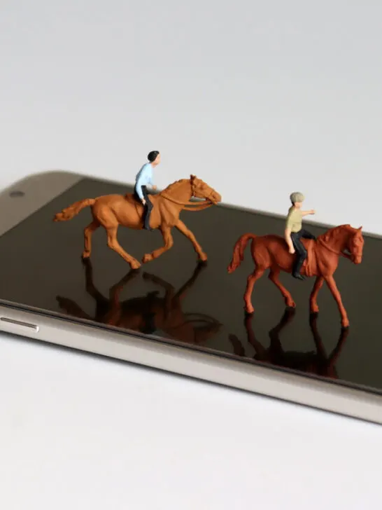 Two miniature horses with riders on a smartphone - ss240313