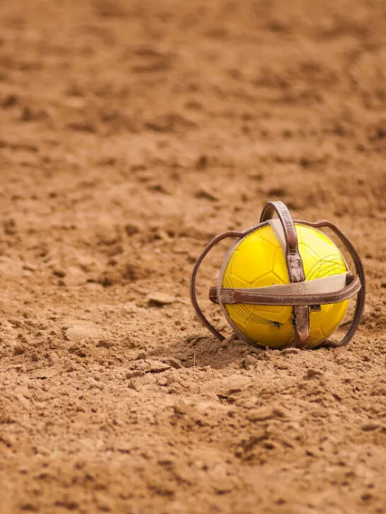 Yellow horseball on the ground - ss230506