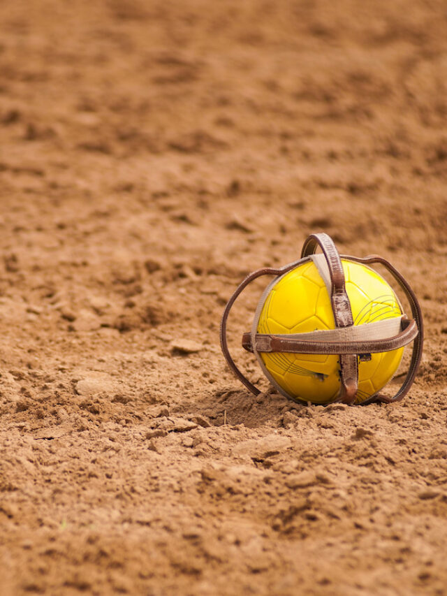 11 Ball Sports You Can Play with Horses Helpful Horse Hints