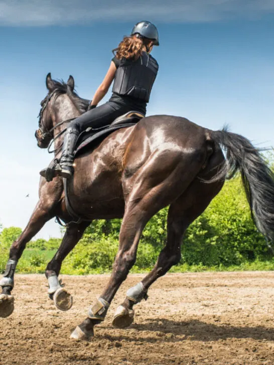 Young woman riding a horse - ss230810