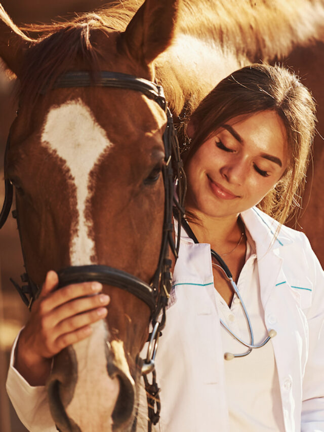 26 Equine Careers with Estimated Salaries Helpful Horse Hints