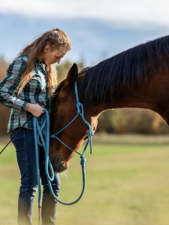 a female volunteer trainer tending to horse