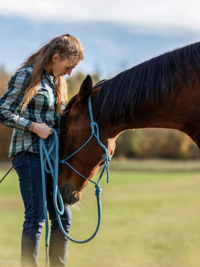 Should You Become A TIP Trainer? Opinions & Advice From Someone Who Has Been There