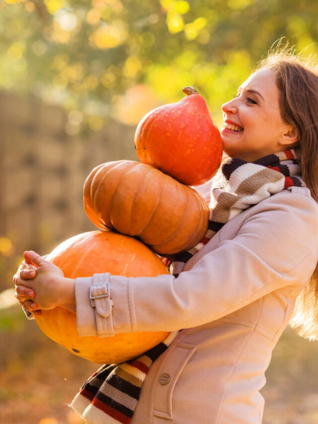 Can Donkeys Eat Pumpkin? Helpful Horse Hints