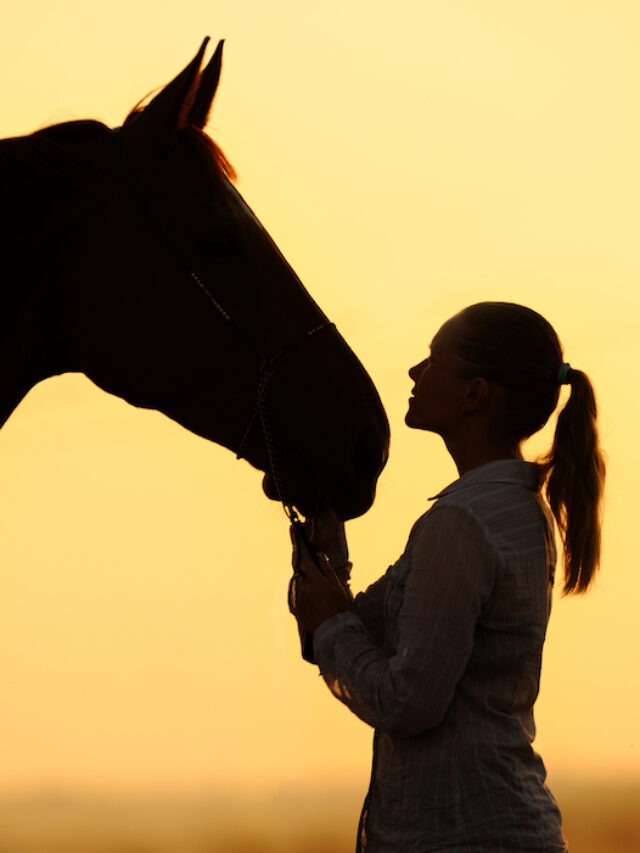 Figuring Out When Your Horse is Too Old To Ride