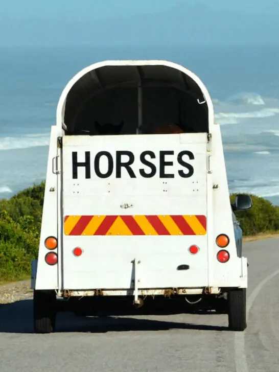 a horse trailer moving down a road near the coast