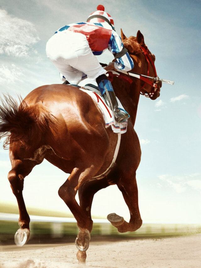 Best Race Horse Breeds