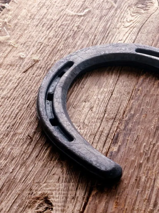 a steel horseshoe on a wooden table
