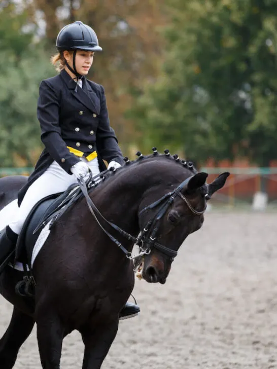 a young girl riding a black horse on an equestrian dressage event