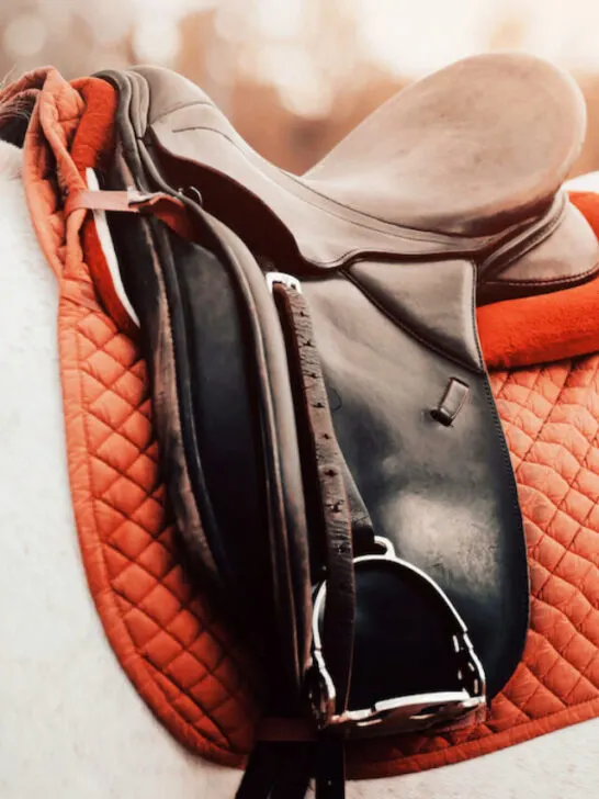 an orange colored saddle pad