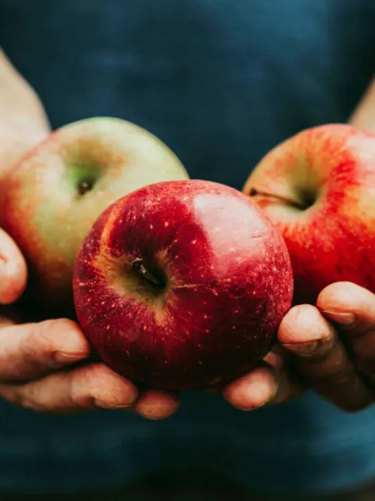 apples on hand freshly picked