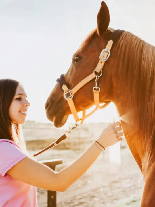 beautiful young woman spraying horse