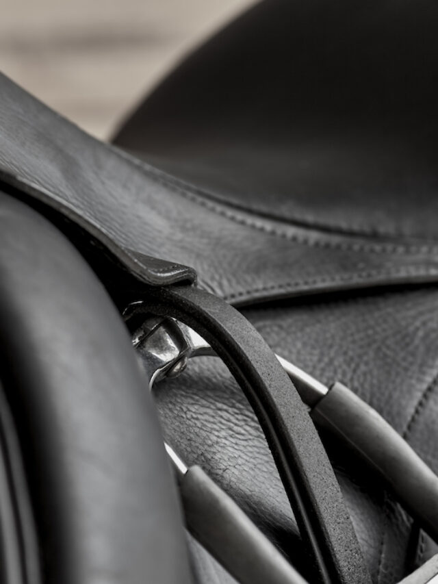 Types of Dressage Saddle Pads