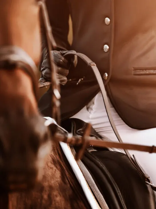 close up of a dressage rider and horse