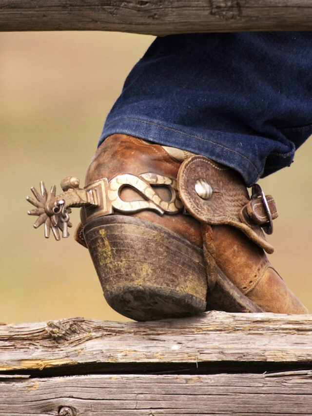 Can Cowboy Boots Be Stretched? (5 Tips)