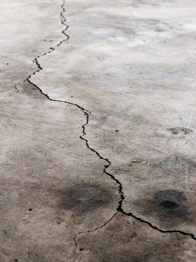 Earthquakes and Horses: Tips for Being Prepared
