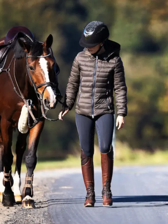 equestrian rider and her horse on the road